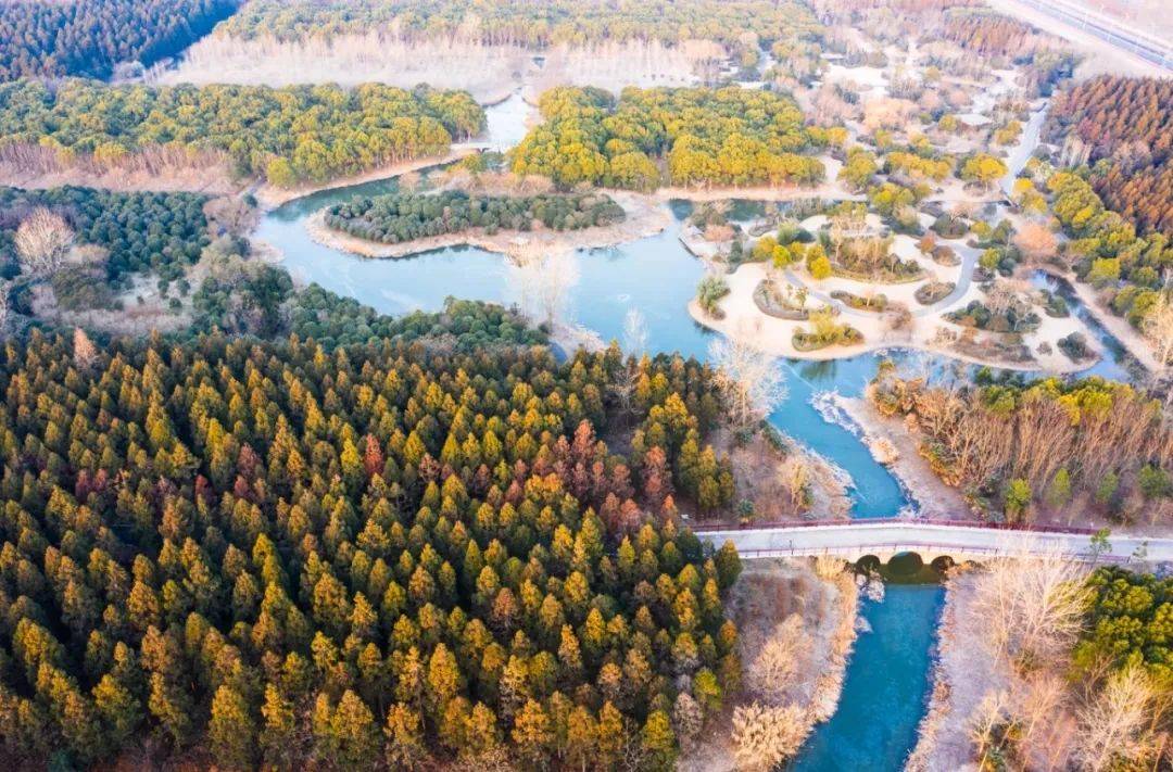 上海崇明：全力打造世界級生態島碳中和示范區